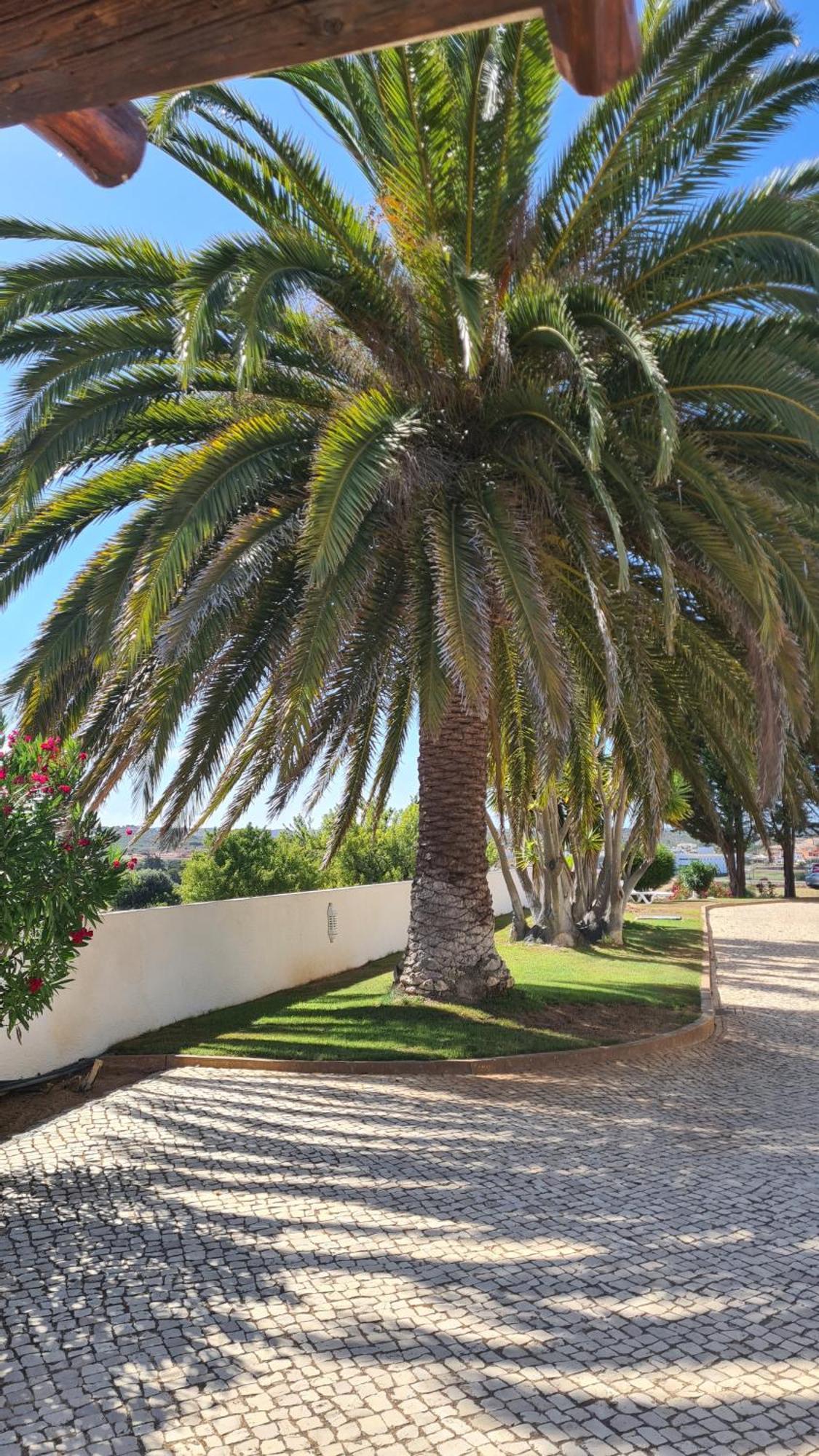 Residence Les Arcades Almadena Экстерьер фото